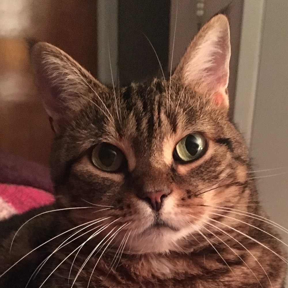 Meet your Posher, Meg